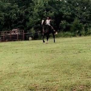 Meet your Posher, Thomas